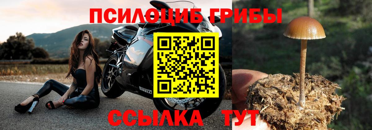 Псилоцибиновые грибы GOLDEN TEACHER  Вход с VPN  Солнечногорск 